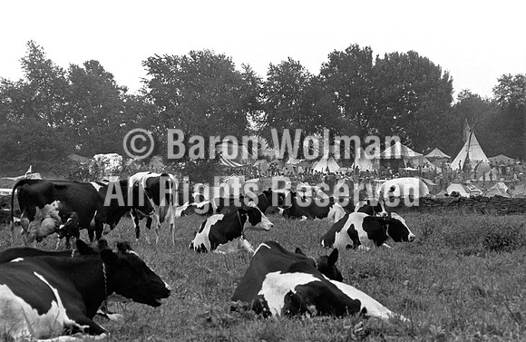 Baron Wolman_69435-5